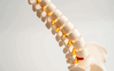 Protrusion discale : exercices et conseils pour soulager la douleur naturellement
